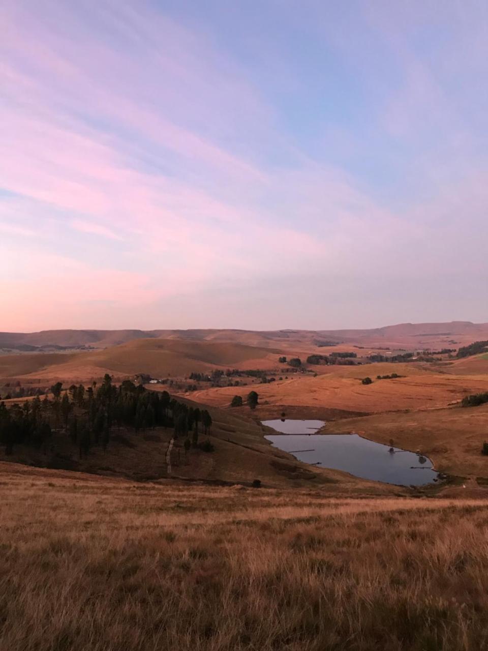Forty Winks — Rosetta — photo 5