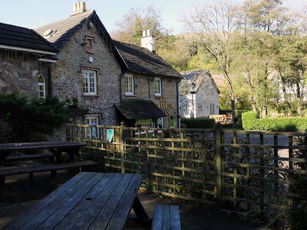 The Hollybush in Newport, United Kingdom