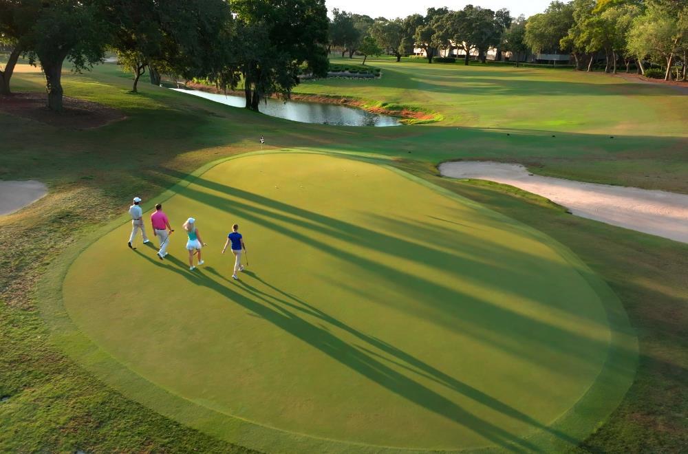 Innisbrook Resort - photo 92