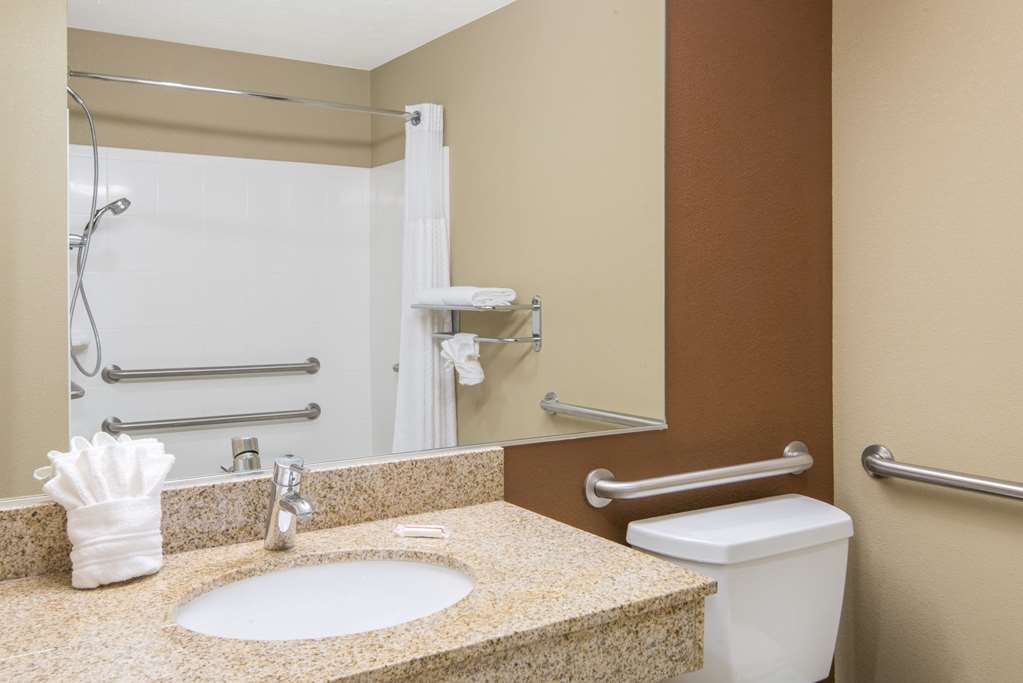 Microtel Inn & Suites by Wyndham North Canton - photo 8