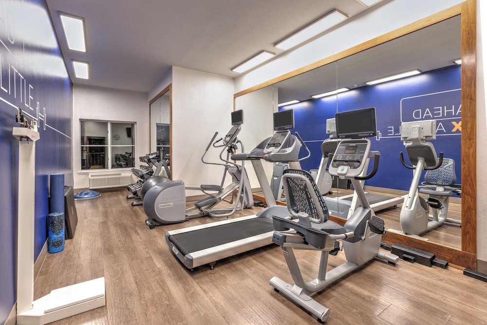 Holiday Inn Express Hotel & Suites Dallas Grand Prairie I 20 by IHG - photo 31