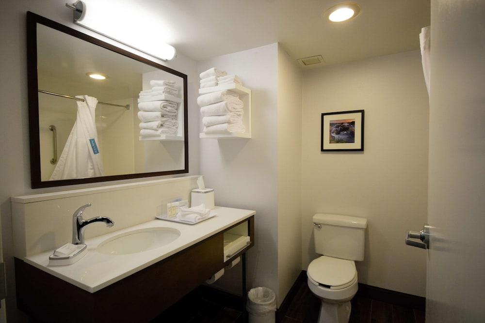 Hampton Inn Salem East Electric Road - photo 25