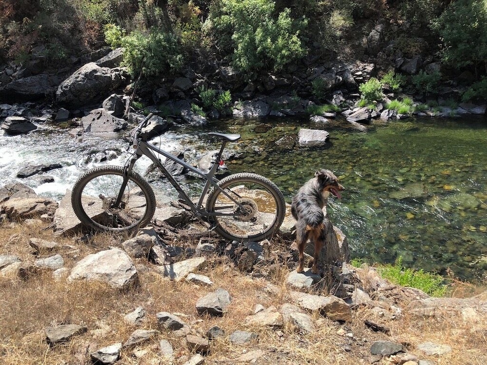 Yosemite Bug Rustic Mountain Resort - photo 83