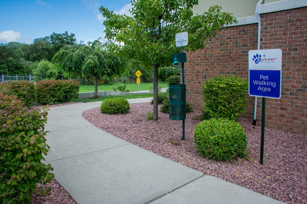 Candlewood Suites Airport by IHG - photo 27