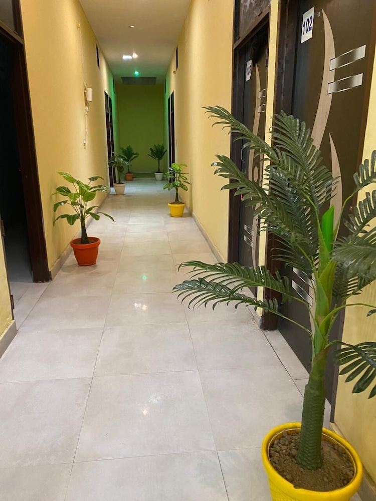 Hotel Hansi — Hansi