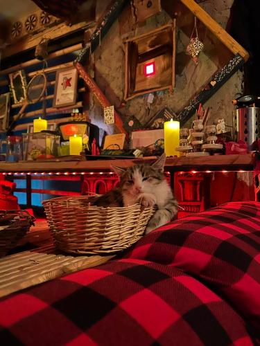 Ke&Ra Guestsroom — Gori — photo 4