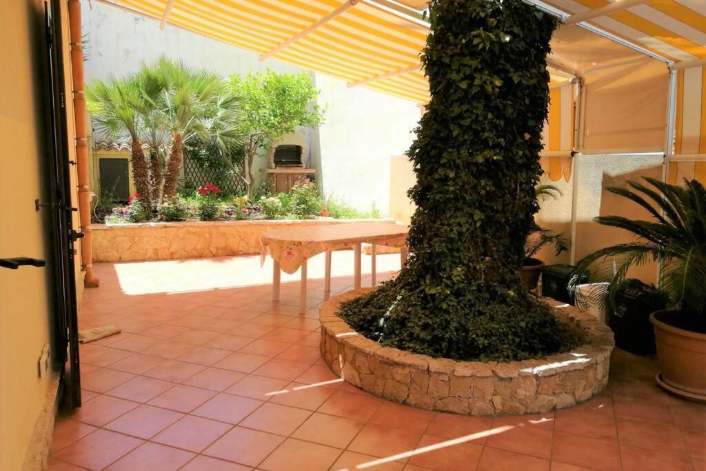 La Palma — San Vito Lo Capo