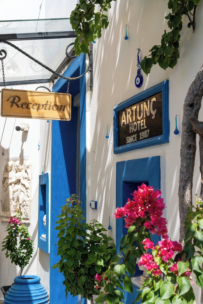 Artunc Boutique Hotel — Bodrum — photo 5