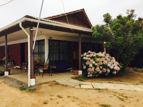 Bello Horizonte in Unknown City, Chile