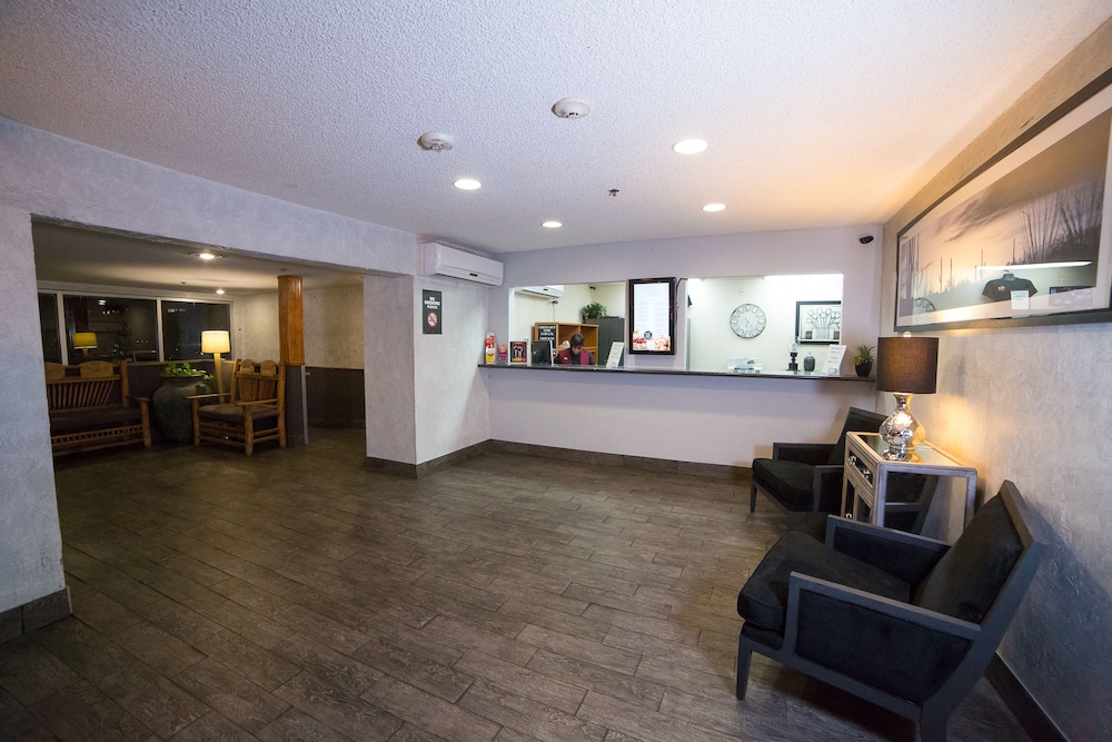 Hotel Jefe at Ojos Locos - photo 2