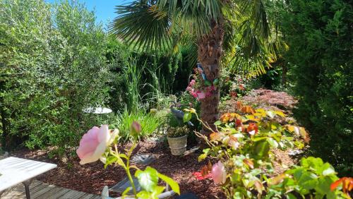 Gite Des Roses — Ande — photo 5