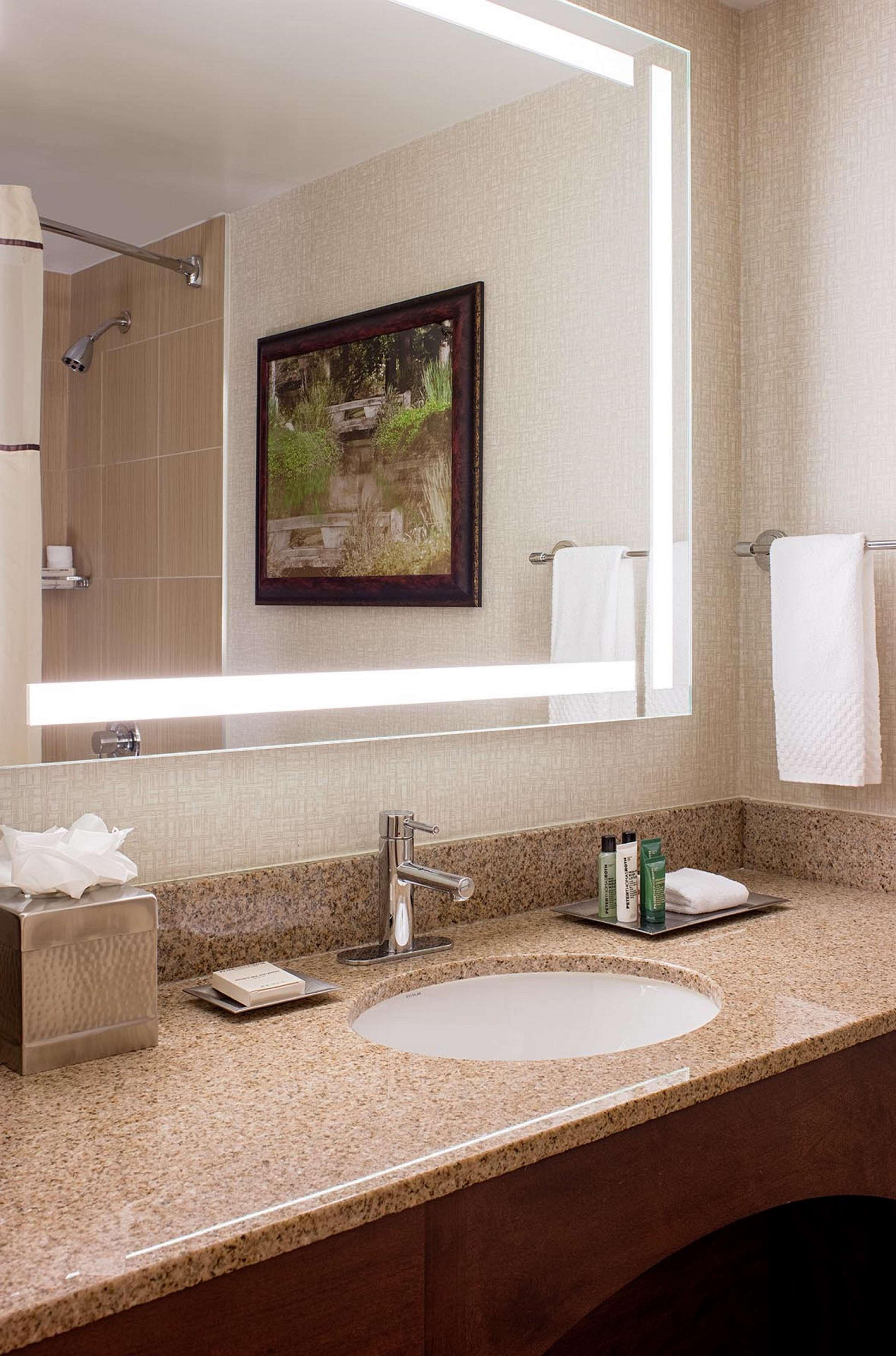 Hilton Houston Galleria Area - photo 53