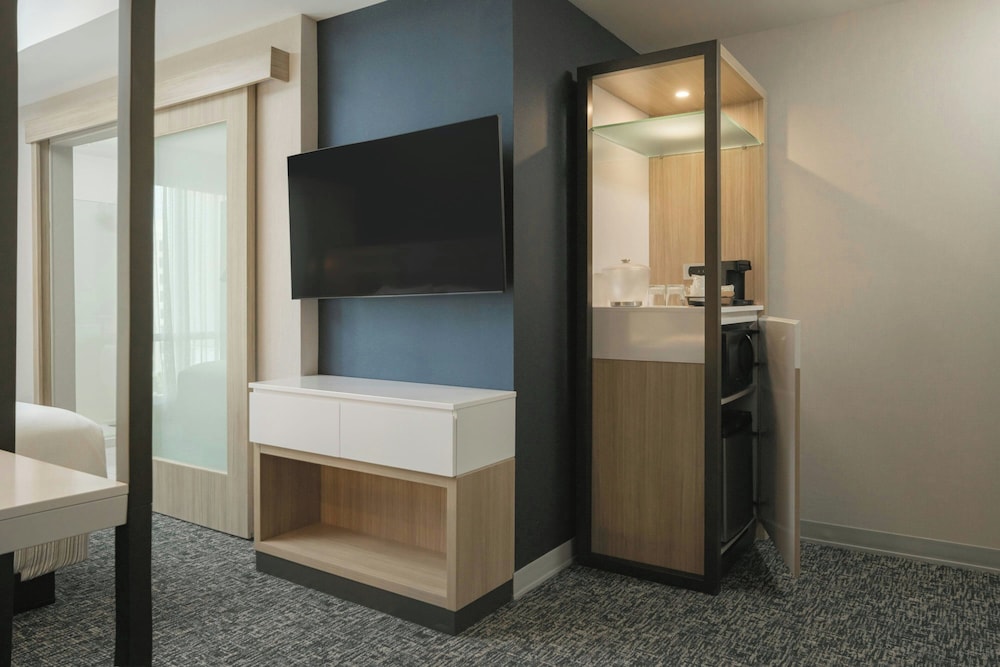 SpringHill Suites by Marriott Tampa Downtown - photo 16