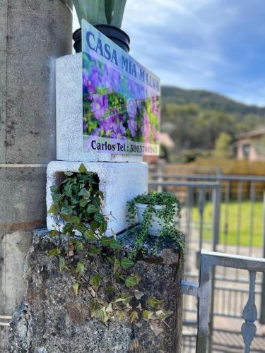 Casa Mia Malva — 4-Star Luxury Hotel in Ricco Del Golfo, Italy