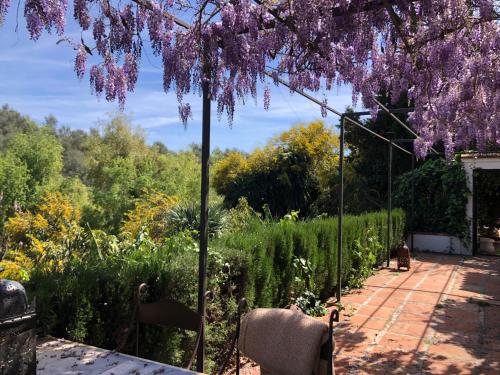 Back To La Tierra Romantic Nature Retreat In Mijas — Mijas