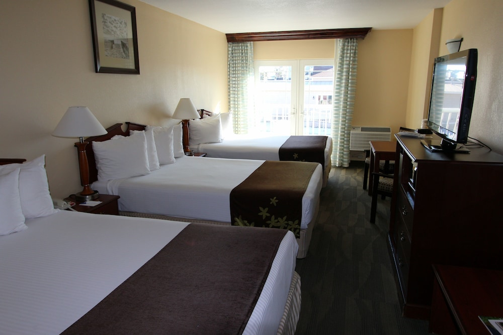 Gold Leaf Hotel of Dewey Rehoboth Beach - photo 9