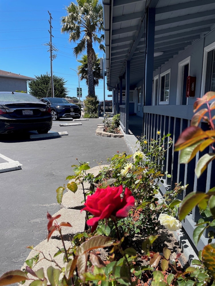Monterey Fireplace Inn - photo 39