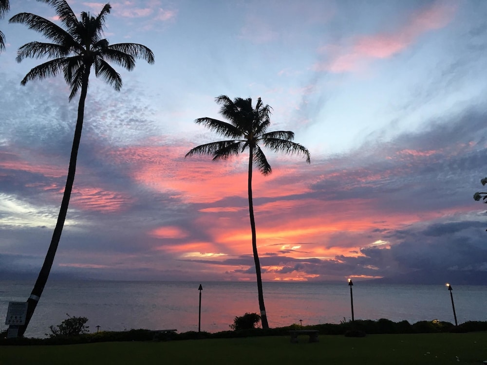 Polynesian Shores - photo 171