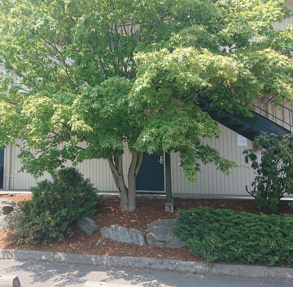 Cocusa Motel - photo 124