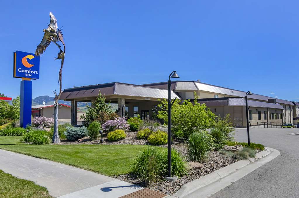 Comfort Inn Bozeman near University - photo 2