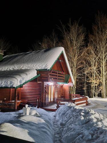 Vikendica Crkvina in Kolasin, Montenegro