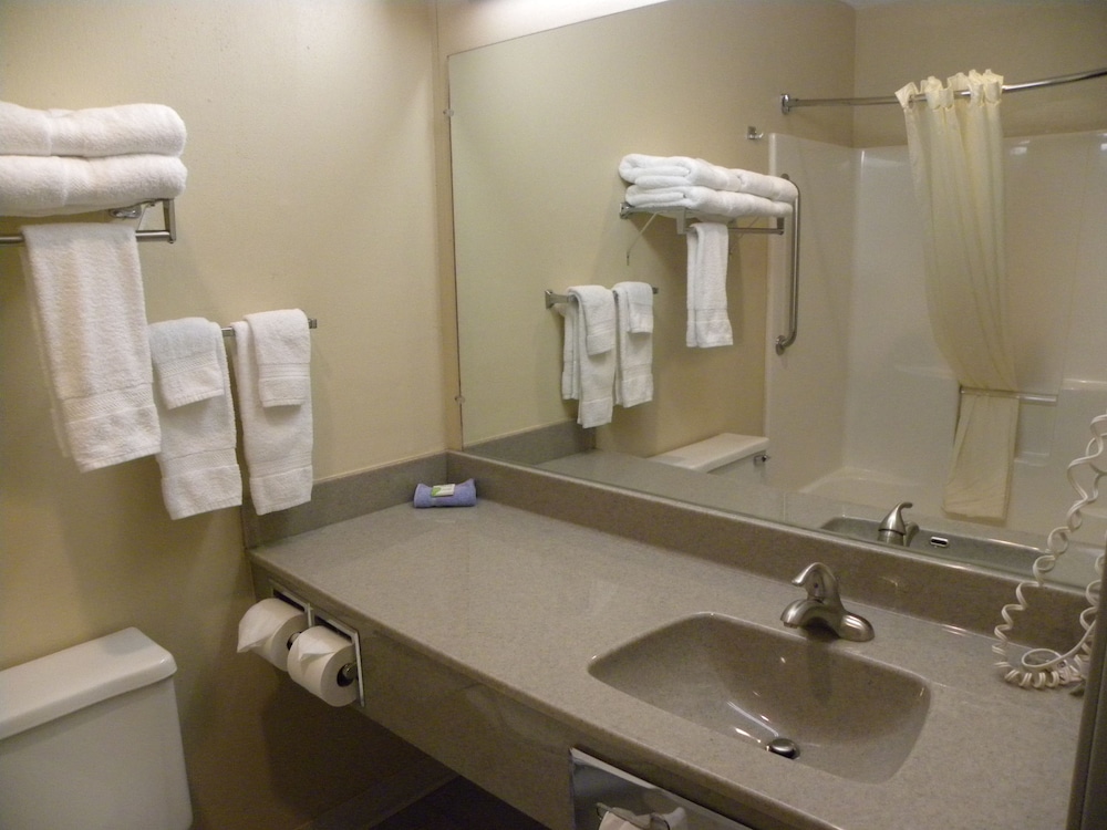 New Victorian Inn and Suites - photo 22