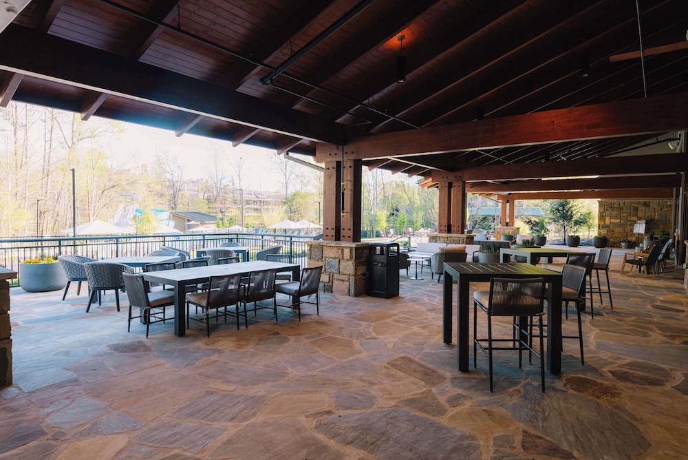 Embassy Suites by Hilton Gatlinburg Resort - photo 71