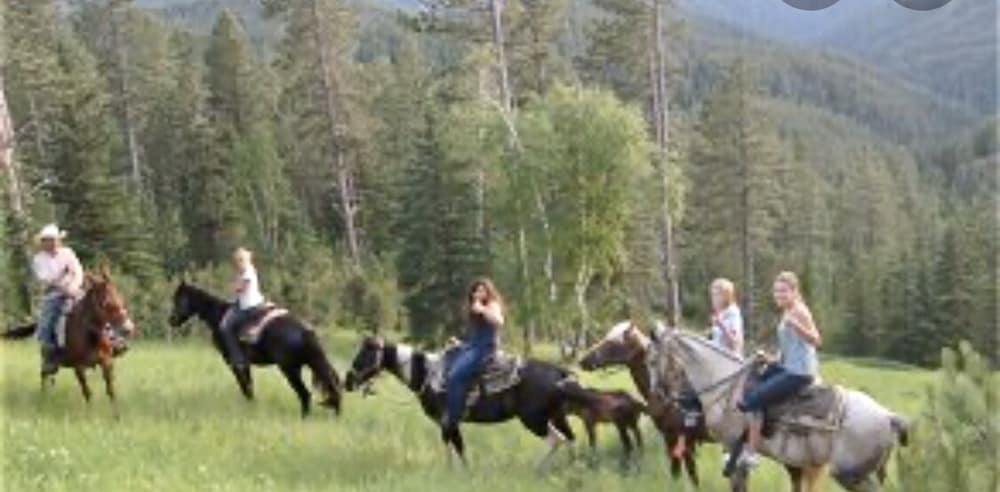 Whitetail Creek Resort - photo 50