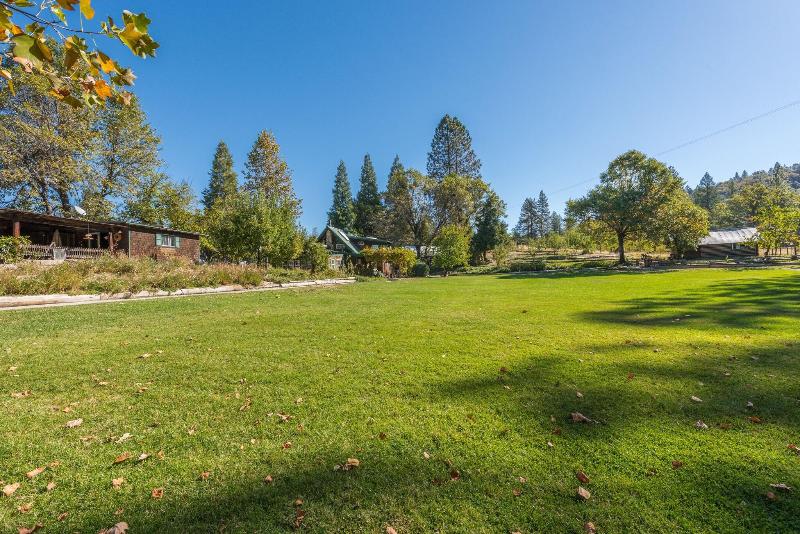 The Davies Family Inn - photo 27