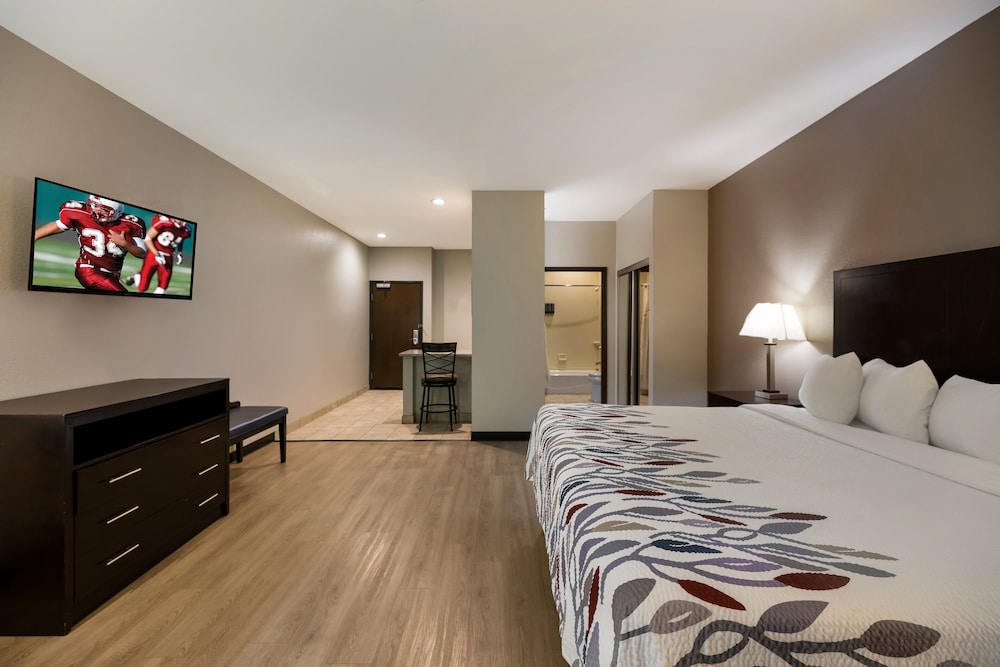 Red Roof Inn Pecos - photo 10