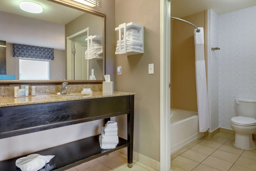 Hampton Inn Alamosa CO - photo 39