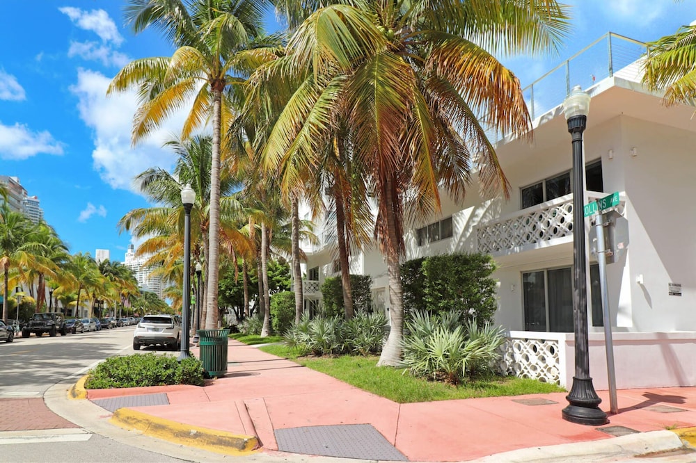 Roami at 250 Collins - photo 131