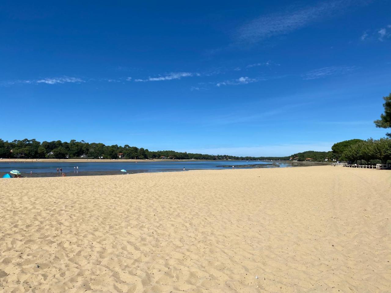 Un Cocon Climatise Au Bord Du Lac D Hossegor — Soorts Hossegor
