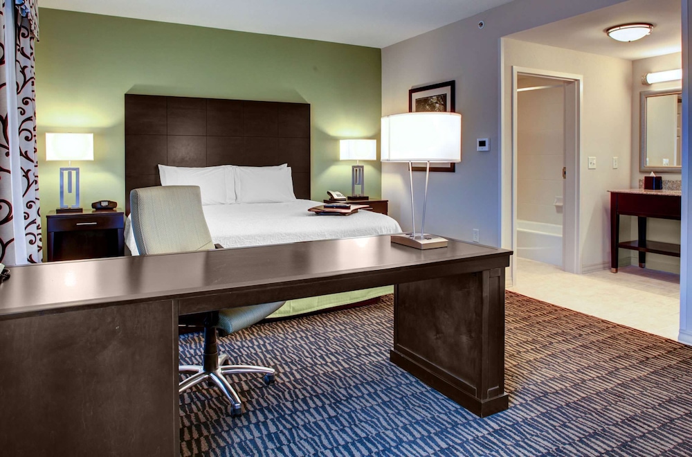 Hampton Inn & Suites Baton Rouge Downtown - photo 8
