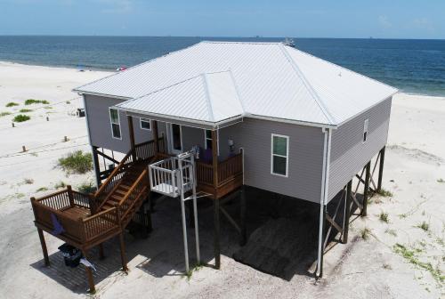 Purple Pelican in Dauphin Island, United States