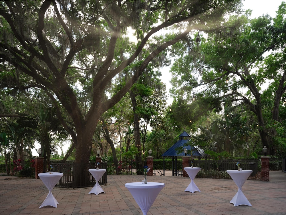 Hilton Garden Inn Tampa East Brandon - photo 39