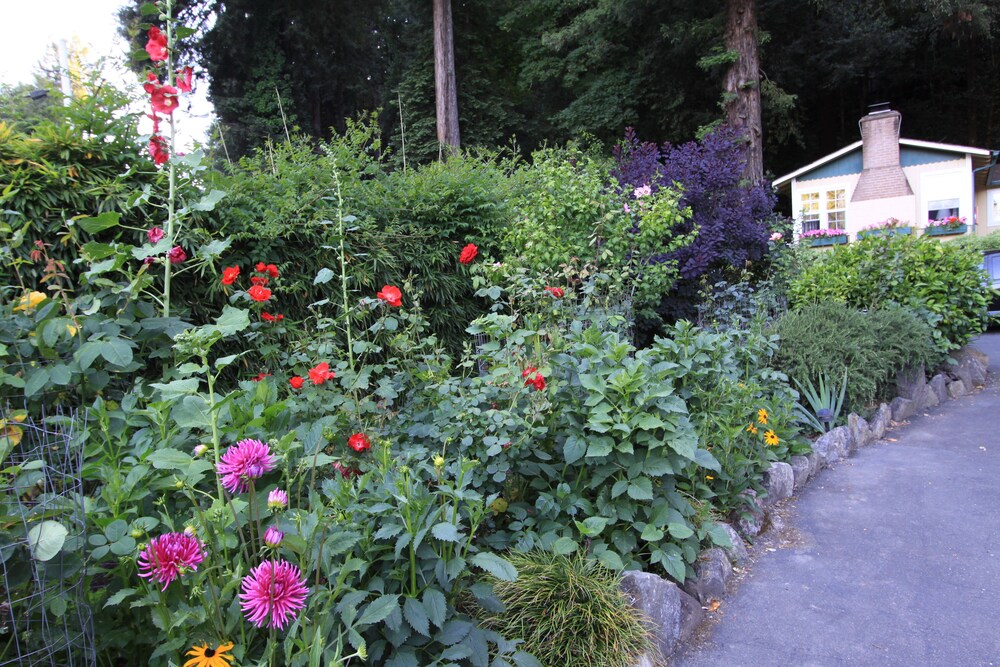 Fern Grove Cottages - photo 92