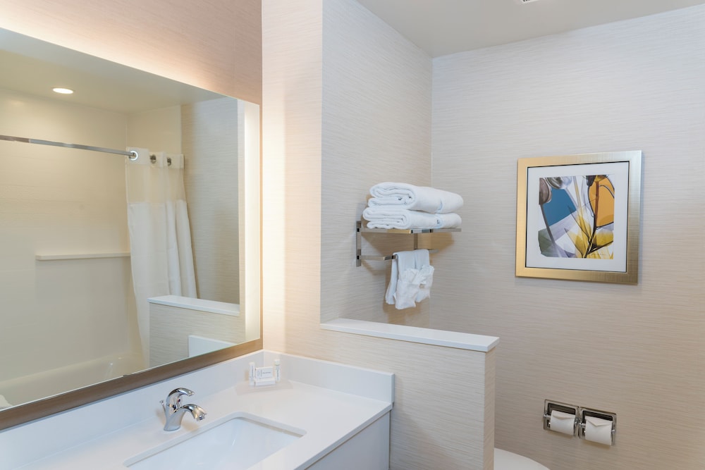 Fairfield Inn & Suites by Marriott Indianapolis Fishers - photo 15