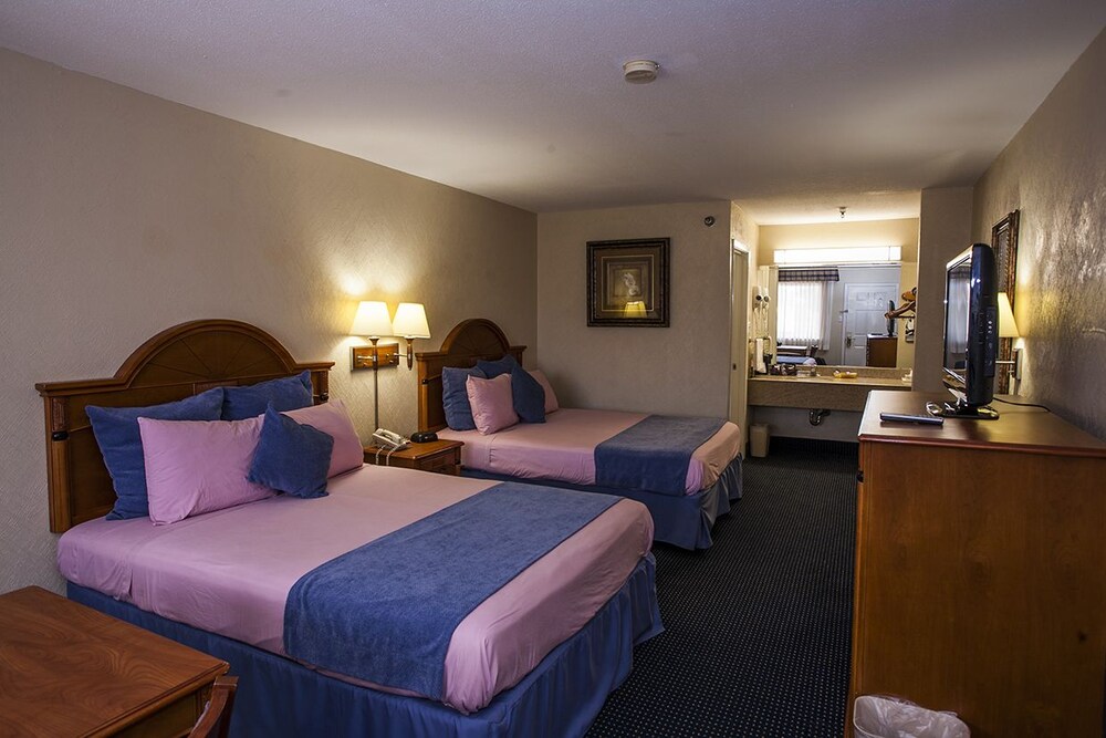 Downtowner Inn and Suites Hobby - photo 6