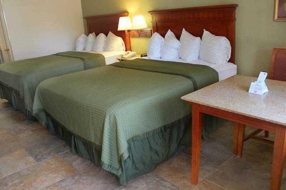 Best Western Music City Inn - photo 25