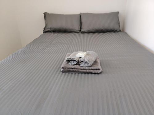 Kenwyn Micro Apartments 2