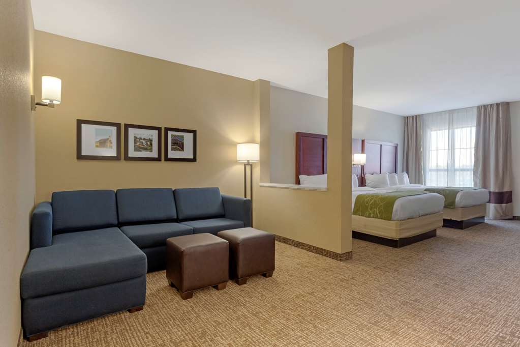 Comfort Suites Piedmont Greenville South - photo 28