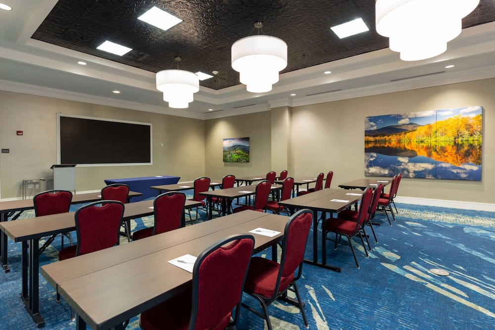 Hilton Garden Inn Asheville Downtown - photo 71