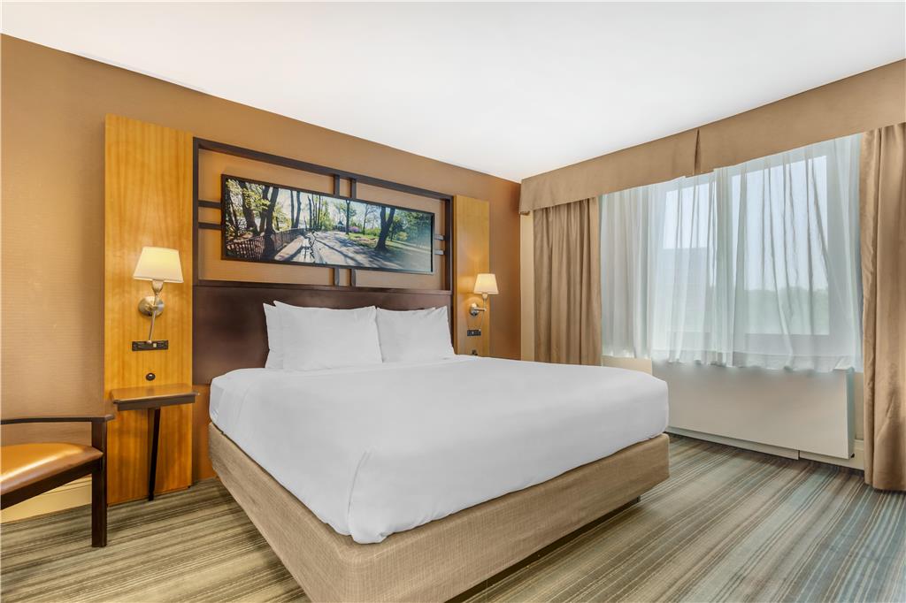 Best Western Queens Gold Coast - photo 9
