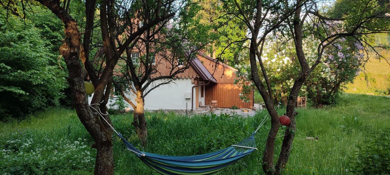 Chata Wilczka - last minute hotel in Unknown City