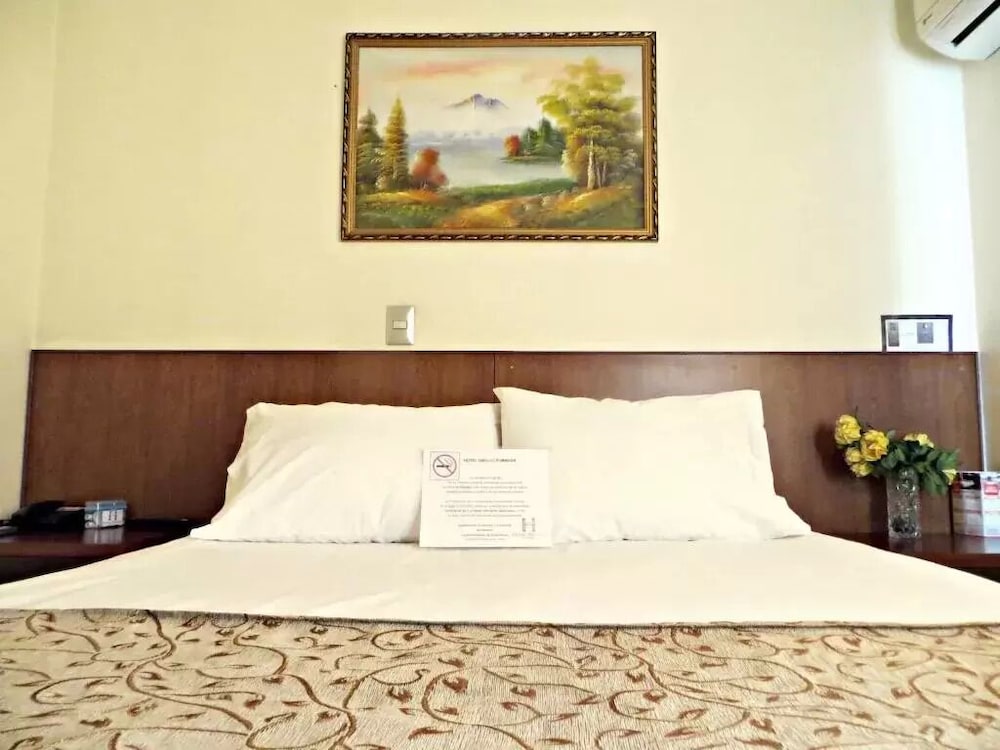 Hotel Newen in Temuco, Chile