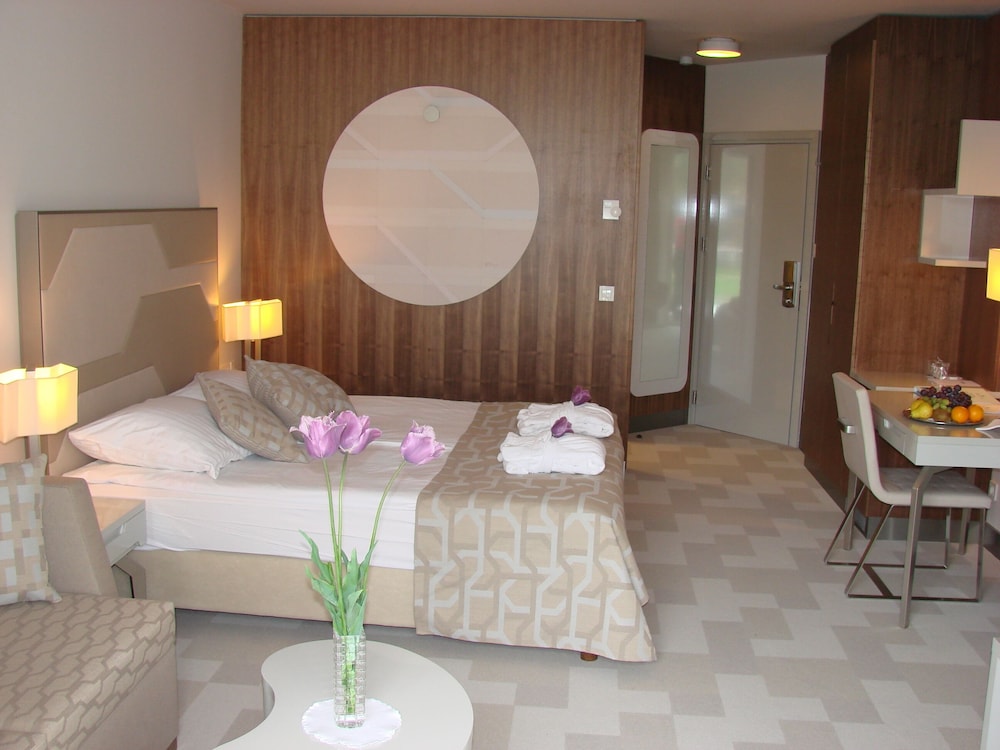 Hotel Terme — Brezice — photo 2