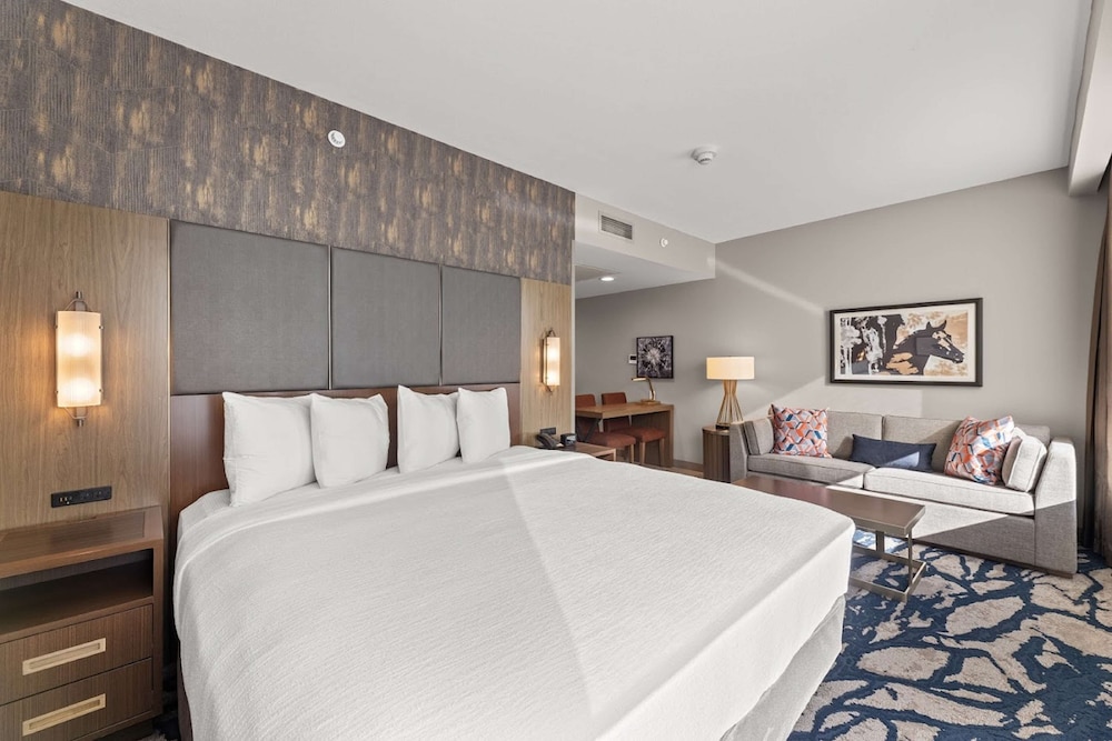 Embassy Suites by Hilton Irving Las Colinas - photo 20