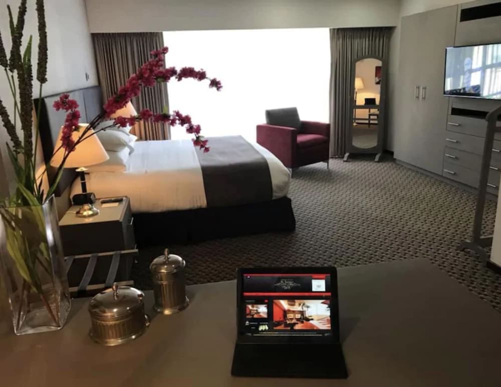St Isidro Suites Corporate Housing SPA & Wellness Center pet-friendly hotel Mexico City