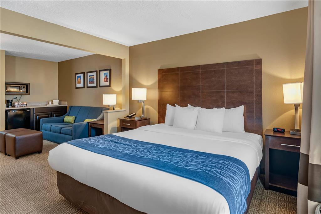 Comfort Inn & Suites Bryant Benton - photo 22